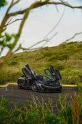 8x10 Metal Mclaren P1 Print